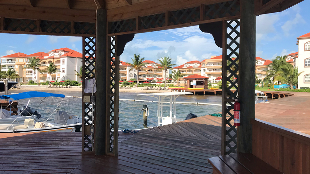 Palm Tree Paradise Resort