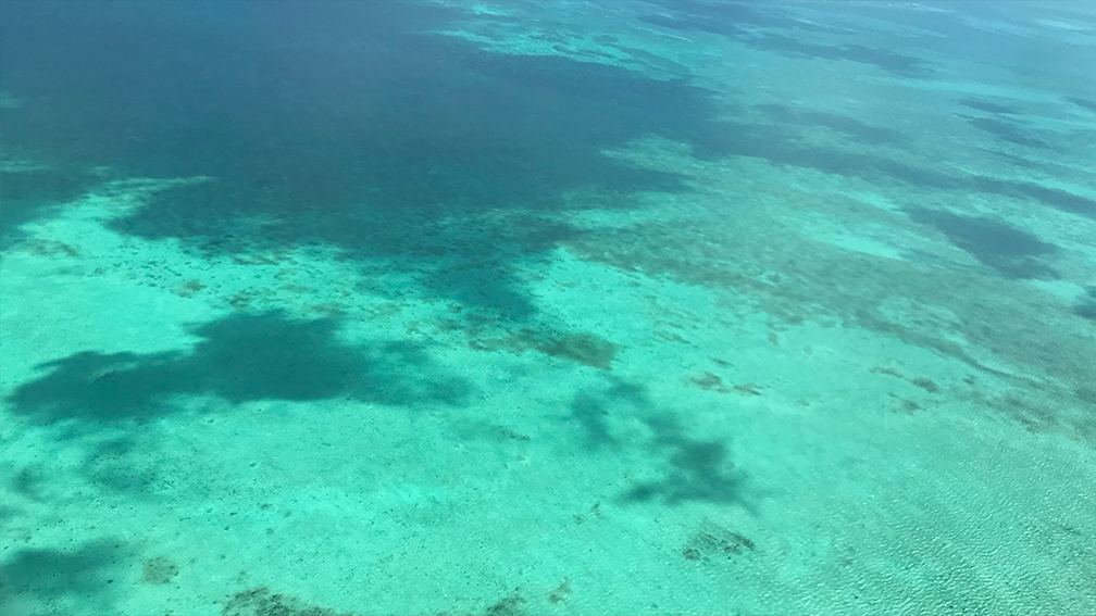 Crystal Clear Ocean Floor View